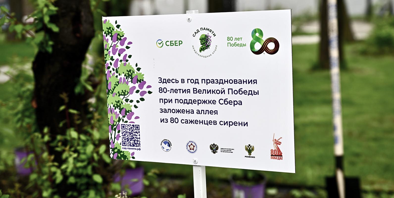 Слайд