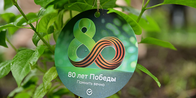 Слайд
